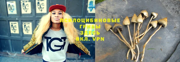 герыч Гатчина